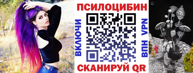продажа наркотиков  Бодайбо  Псилоцибиновые грибы Magic Shrooms 